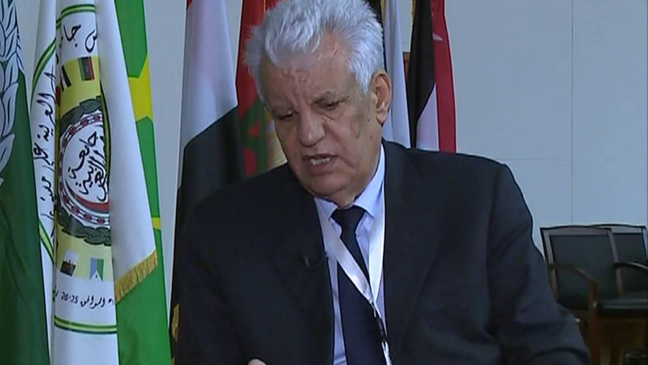 الشوبكي: الدول العربية أكدت بشكل حاسم مركزية القضية الفلسطينية