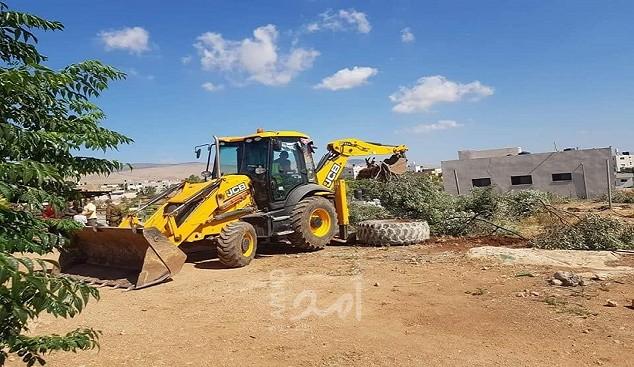 آليات الاحتلال تجرف 10 دونمات مزروعة بأشتال الزيتون جنوب بيت لحم