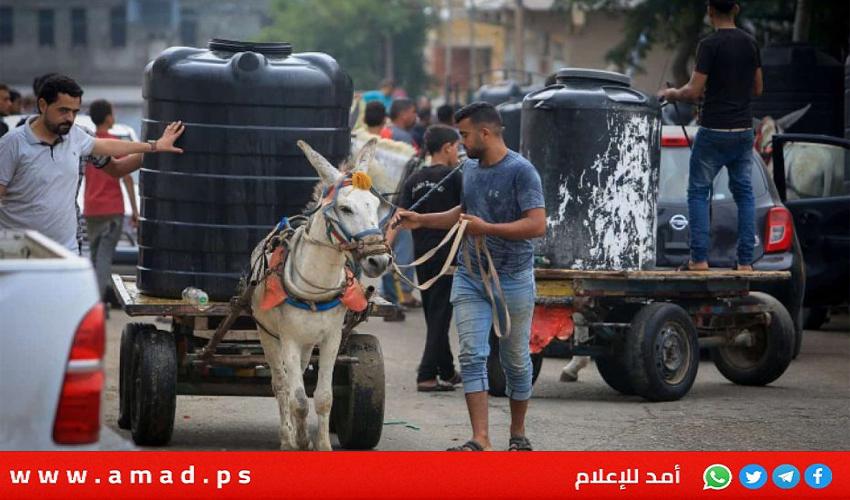 الأمم المتحدة: غزة أصبحت مكان الموت واليأس مع وجود كارثة صحية تلوح في الأفق