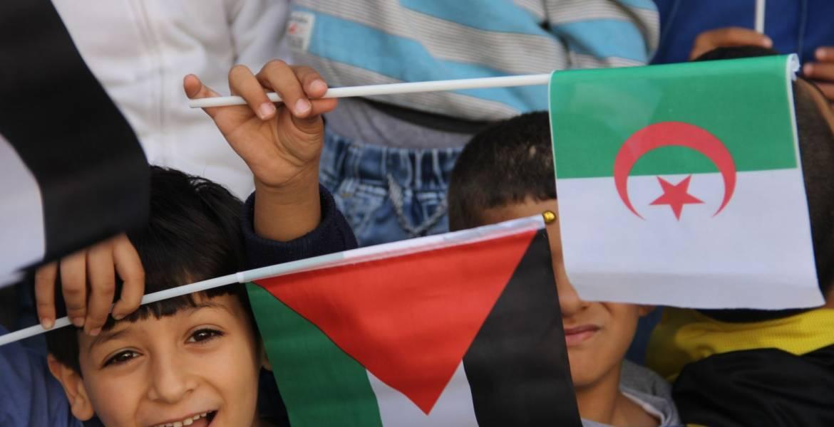 وفد من حماس يلتقي بالقوى والأحزاب الجزائرية