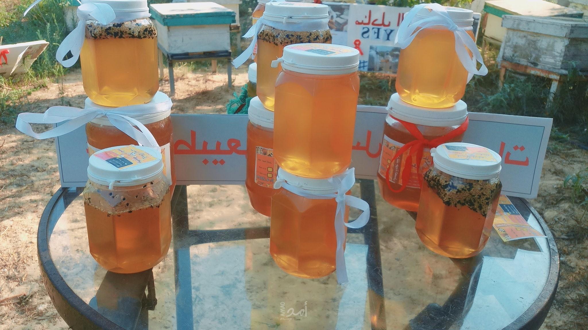 انسى كل ما سمعته سابقاً.. هكذا تميز العسل الأصلي!