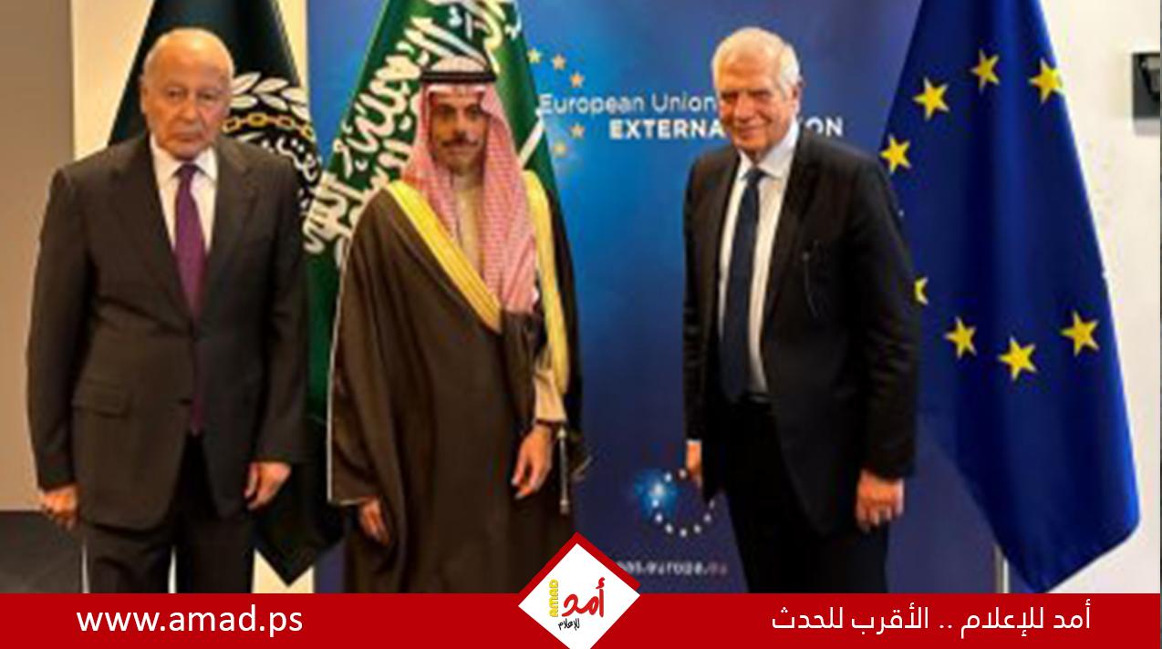 لقاء عربي أوروبي لبحث إحياء عملية السلام.. وحماية الأفق السياسي لحل الدولتين