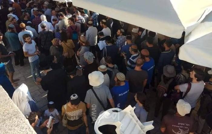 خطيب الأقصى يدعو المصلين للاستنفار ومئات مستوطنين يتجمعون أمام "باب المغاربة"
