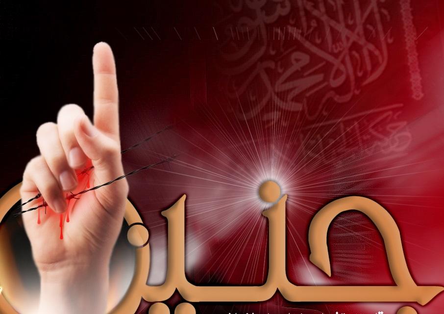 جنين المسورة بالعروق