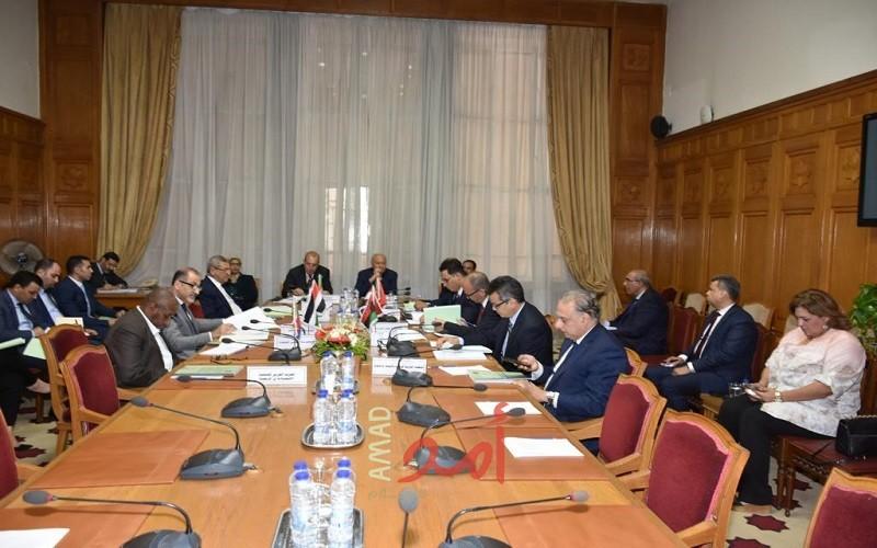 أبو الغيط يؤكد على أهمية تعزيز التعاون العربي الإفريقي وعدم ترك الساحة لأطراف أخرى