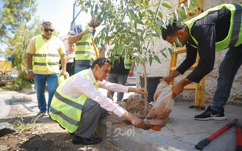 بلدية قلقيلية مستمرة بمبادرة تنظيف إحياء المدينة