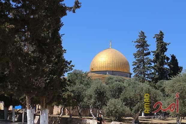 في القدس ..