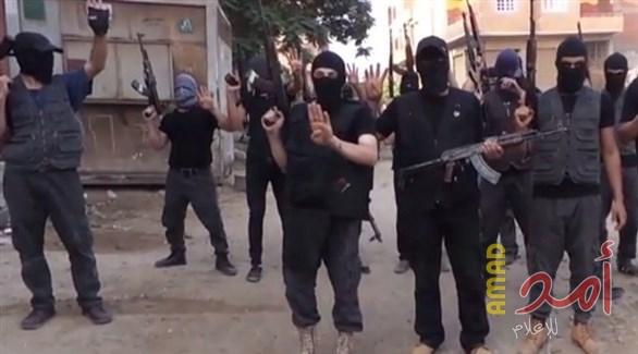 بعد حادثة "الدرب الأحمر"...مرصد الإفتاء المصرية: جماعة "الإخوان" مورد رئيسي لداعش