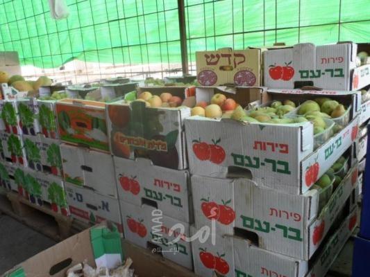 حكومة حماس تفرض شكل جديد من الجباية  على استيراد الفواكه