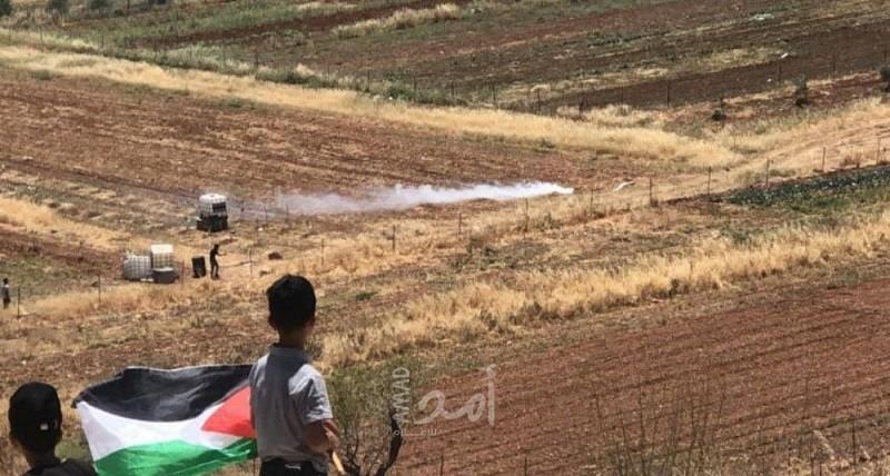 قوات الاحتلال تحتجز متضامنين أجانب في مسافر يطا