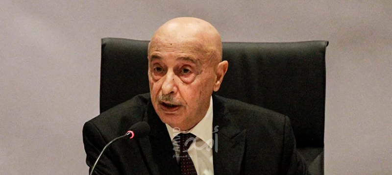 عقيلة صالح: الرئيس الليبي يجب أن لا يحمل جنسية دولة أخرى