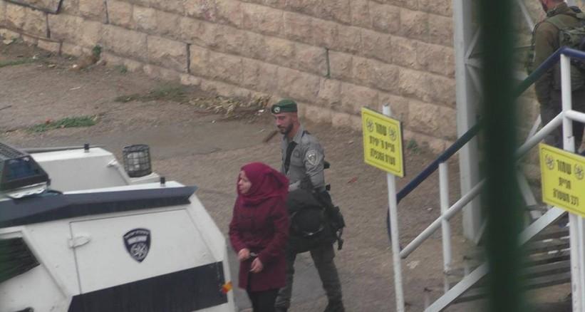 ارشيفية