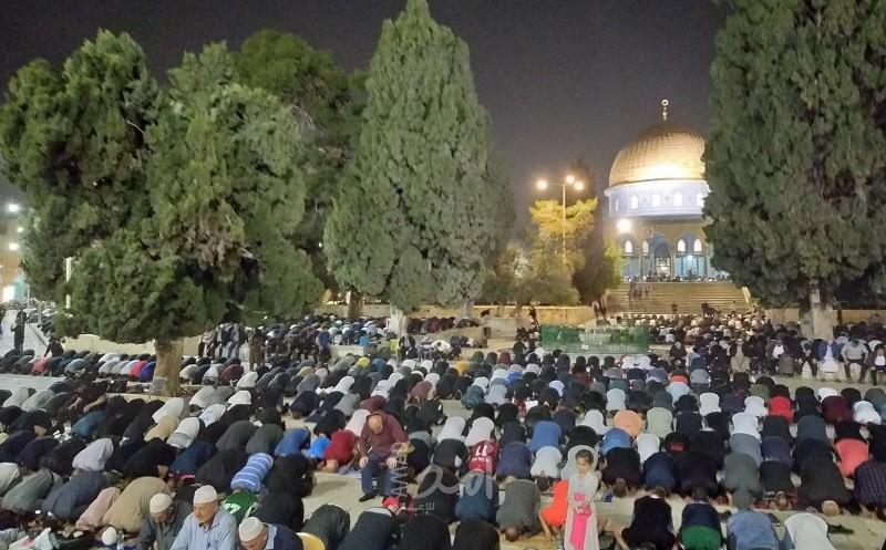 (55) ألف مصلٍ يؤدون صلاة التراويح في "المسجد الأقصى"