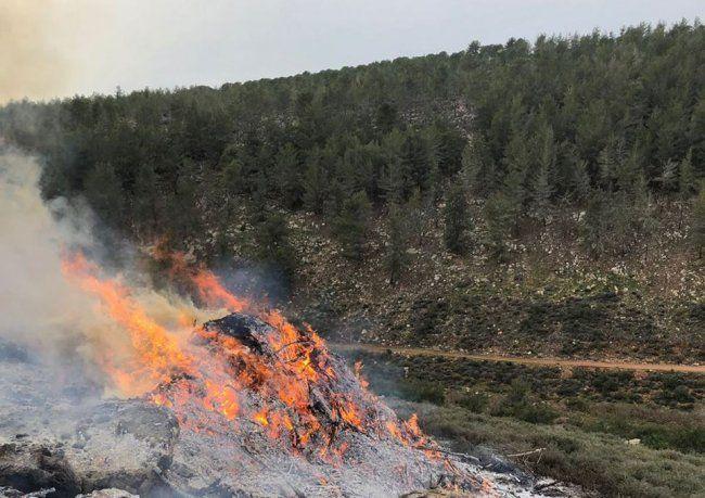 السيطرة على حريق طال أشجار حرجية جنوب غرب جنين