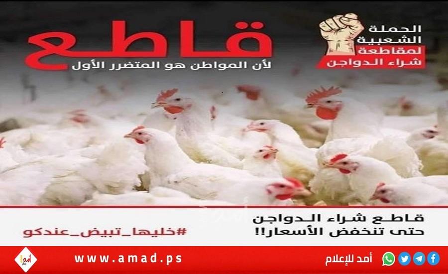 غزة: قاطعوا الدجاج … حملة شعبية احتجاجًا على أسعار اللحوم البيضاء