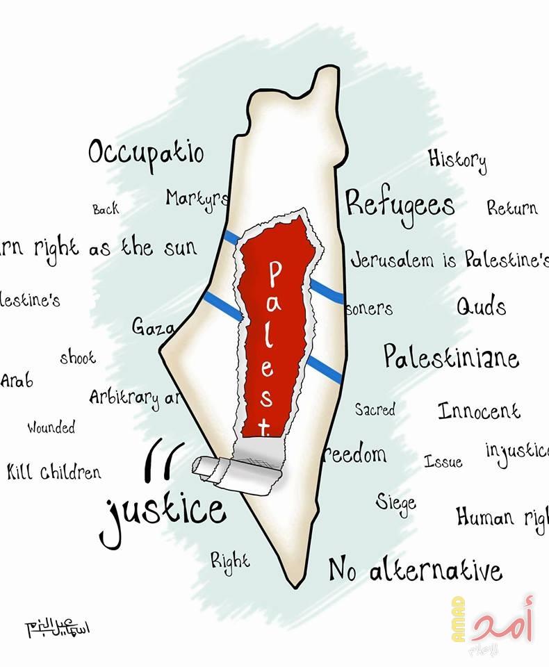 فلسطين..آخرتها إلنـا!
