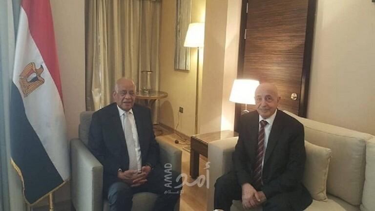 البرلمان المصري: مجلس النواب في طبرق هو الممثل الشرعي الوحيد للشعب الليبي