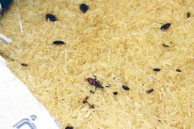 ضبط أكثر من 40 طن أرز فاسد في نابلس