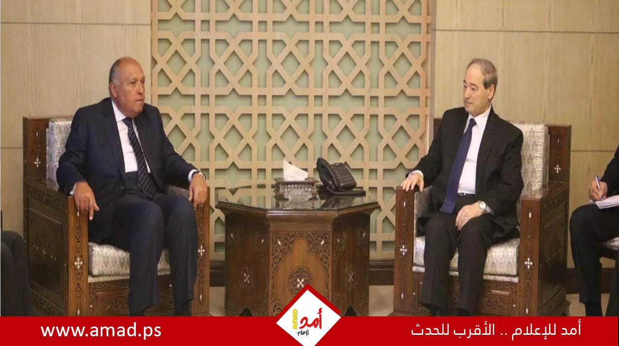 وزير خارجية سوريا فيصل المقداد يزور مصر السبت