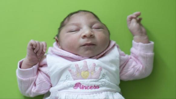 دراسة توضح كيف يسبب زيكا تشوهات بمخ الأجنة