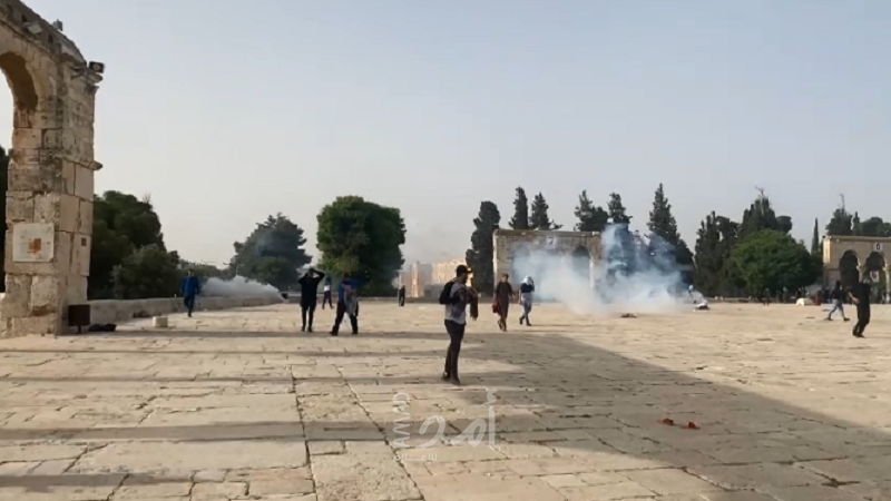 محدث- القدس: شرطة الاحتلال تقتحم المسجد الأقصى ومواجهات مع المصلين- فيديو وصور