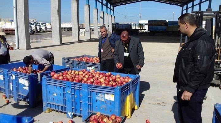 إتلاف تفاح فاسد في معبر كرم أبو سالم
