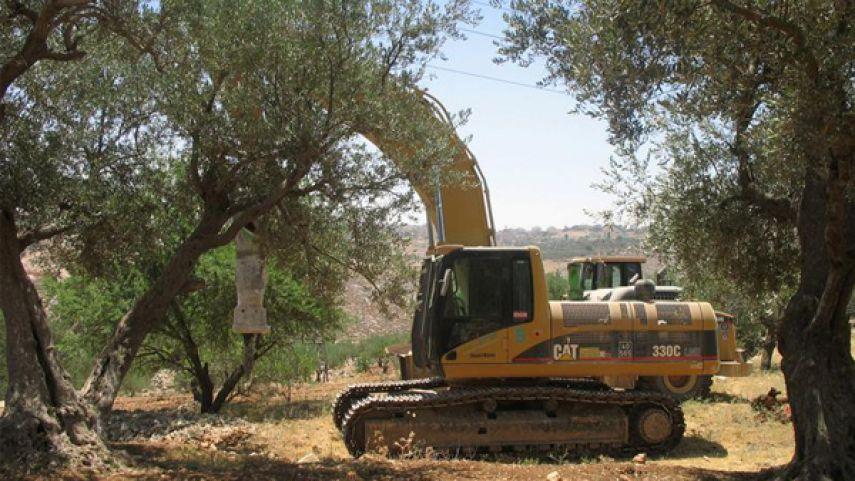تجريف استيطاني في بروقين غرب سلفيت