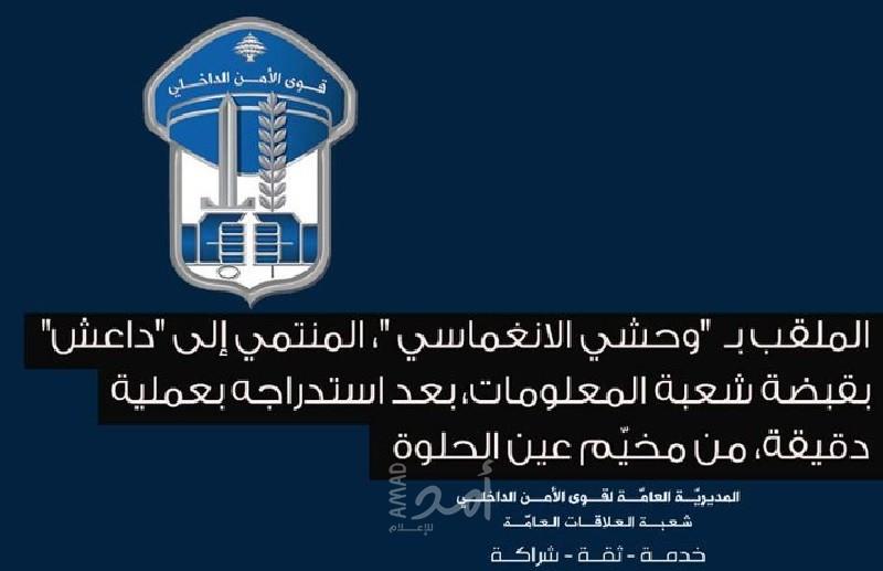 توقيف أحد المنتمين لـ"داعش" بعد استدراجه لصيدا والجيش اللبناني يُشدد التدابير الأمنية خلال الأعياد