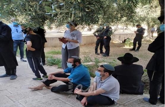 صور ..القدس: عشرات المستوطنين يقتحمون المسجد الأقصى