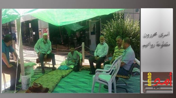 مصدر يكشف عن حل مشكلة رواتب الأسرى المحررين