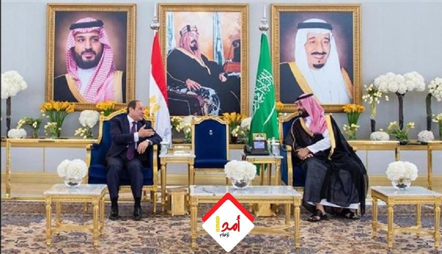 مصر والسعودية تؤكدان أهمية التوصل إلى تسوية شاملة للصراع الفلسطيني الإسرائيلي وفقاً لحل الدولتين