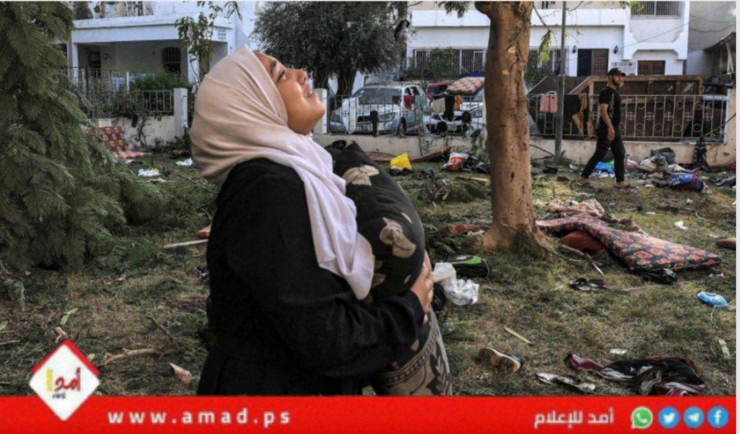 خبراء أمميون: قلقون بشأن تعرض الفلسطينيات لانتهاكات جسيمة ارتكبها جيش الاحتلال