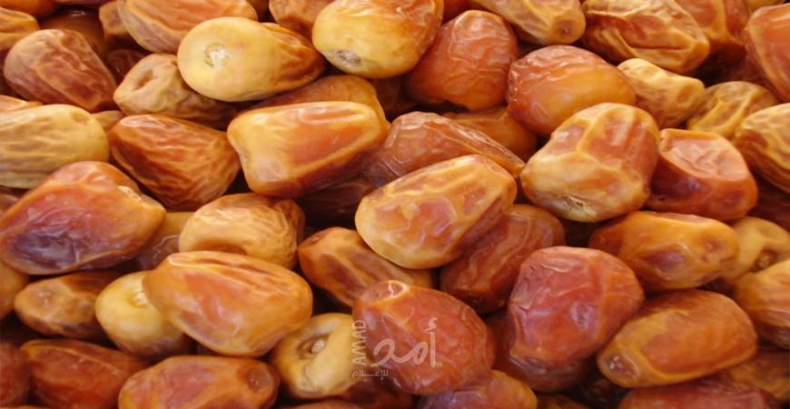 بالفيديو..فوائد تناول التمر على الريق