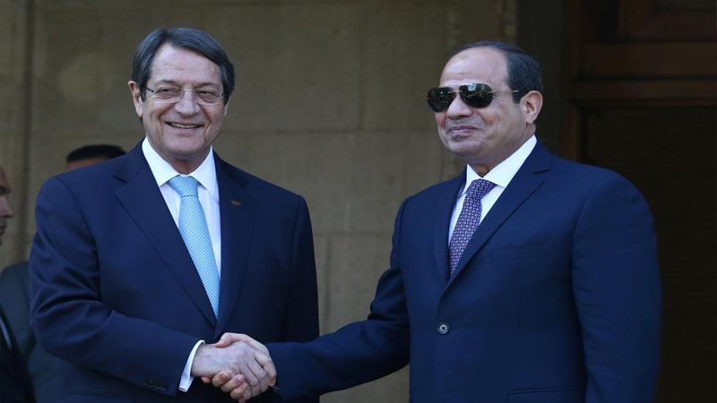 السيسي: يجب عودة الطرفين الفلسطيني والإسرائيلي لطاولة المفاوضات .. ودعم غزة(فيديو)