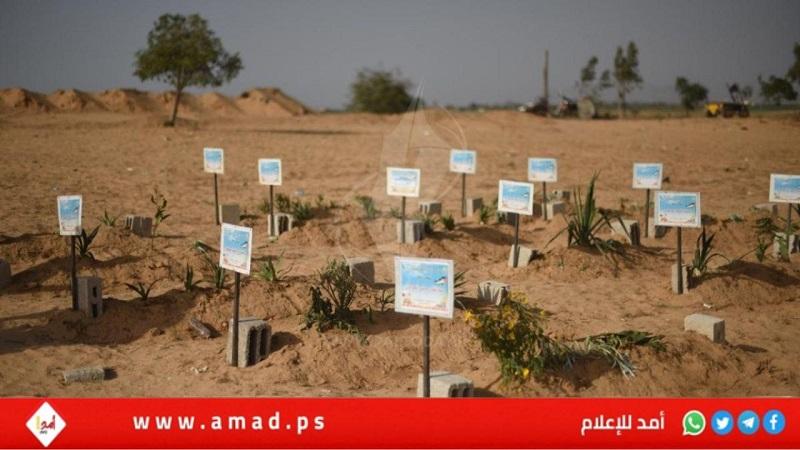 دولة الاحتلال تحتجز جثامين (398) شهيداً
