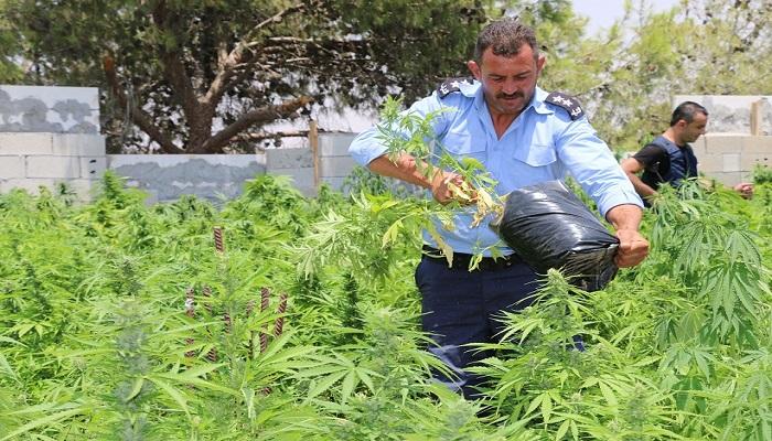أرشيفية
