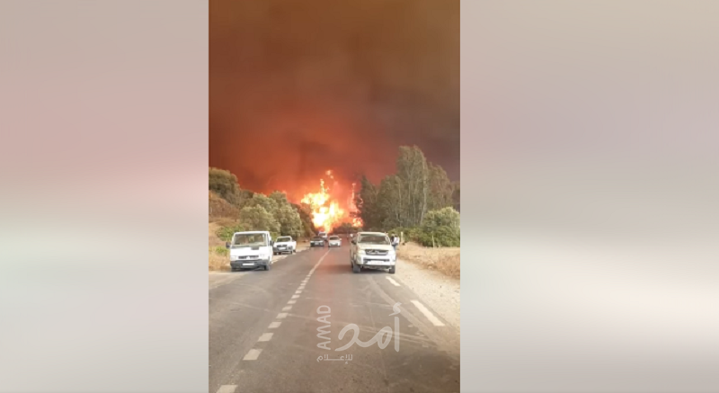 وفاة (18) عسكرياً جراء الحرائق شمال الجزائر