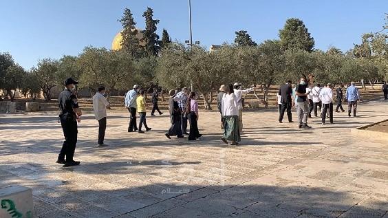 سلطات الاحتلال تبعد موظفًا وحارسًا عن "الأقصى"