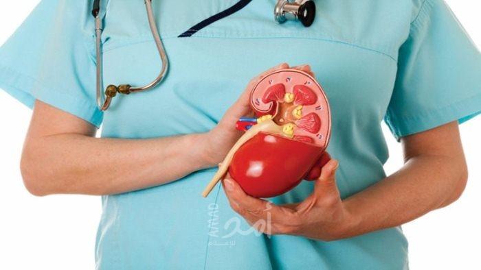 6 نصائح للحفاظ على صحة الكلى