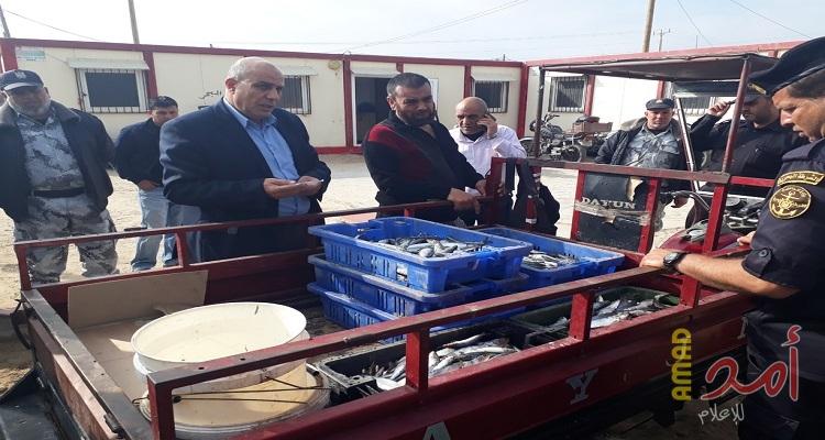 خانيونس: إتلاف 130 كيلو سمك "سردين" مغشوش