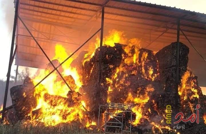 اندلاع الحرائق في الأحراش داخل السياج الفاصل شرق غزة