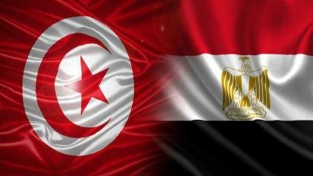"الجريدة" وفد مصري إلى تركيا لـ "حلحلة" القطيعة بواسطة سعودية