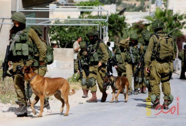 قوات الاحتلال تقتحم مدرسة يعبد الثانوية جنوب غرب جنين