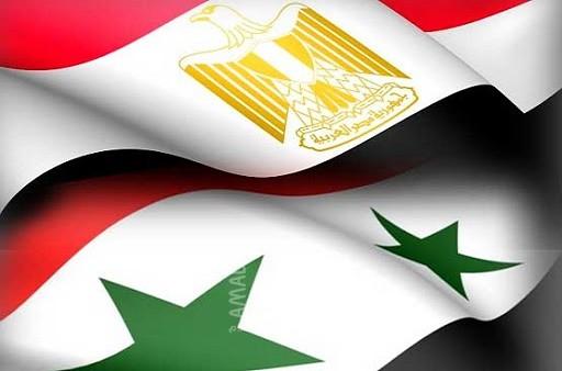 الأناضول: قوات مصرية دخلت سوريا بالتنسيق مع الحرس الثوري الإيراني ..ومرصد ينفي
