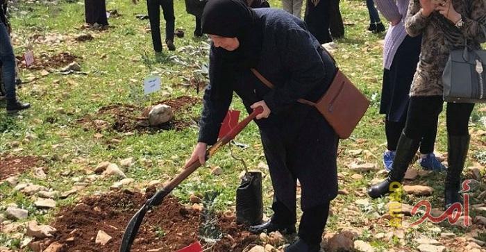 ضمن فعاليات "يوم المرأة".. أمهات الأسرى والجرحى ينظمون فعالية "شجرة لكل شهيد" بنابلس