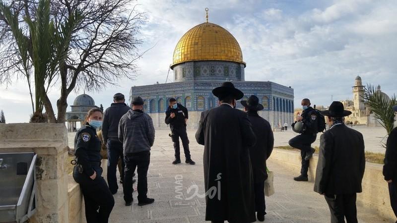 رغم المنخفص الجوي.. القدس: (17) مستوطناَ يقتحمون "المسجد الأقضى"