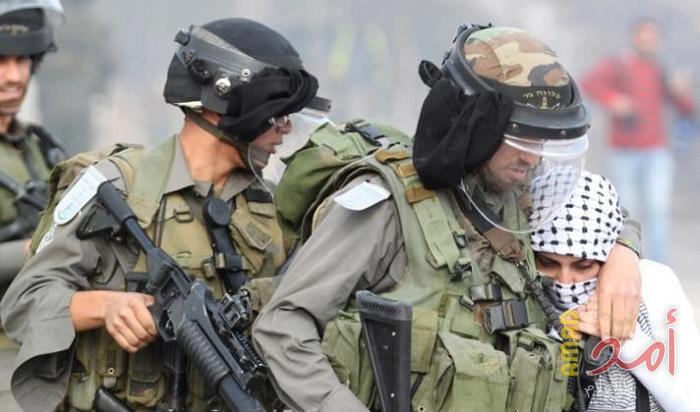 محدث- رام الله: جيش الاحتلال يطلق سراح طلبة من بلدة بيتونيا