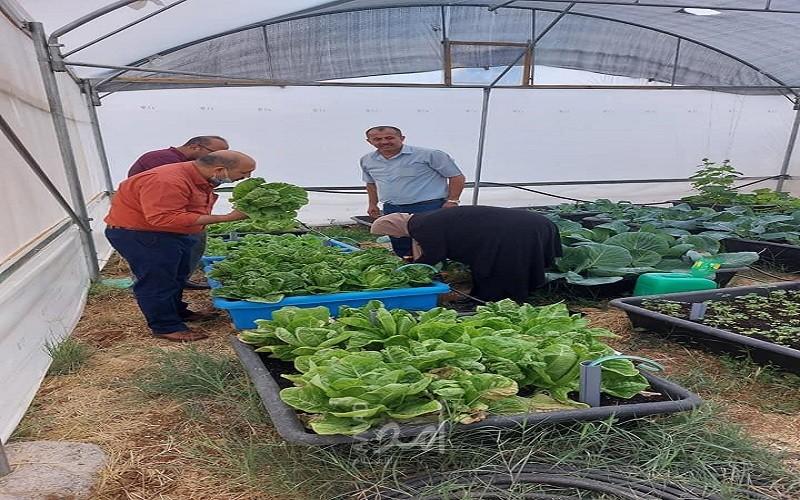 أريحا: افتتاح محطة زراعية تحت عنوان "بذرة خير"