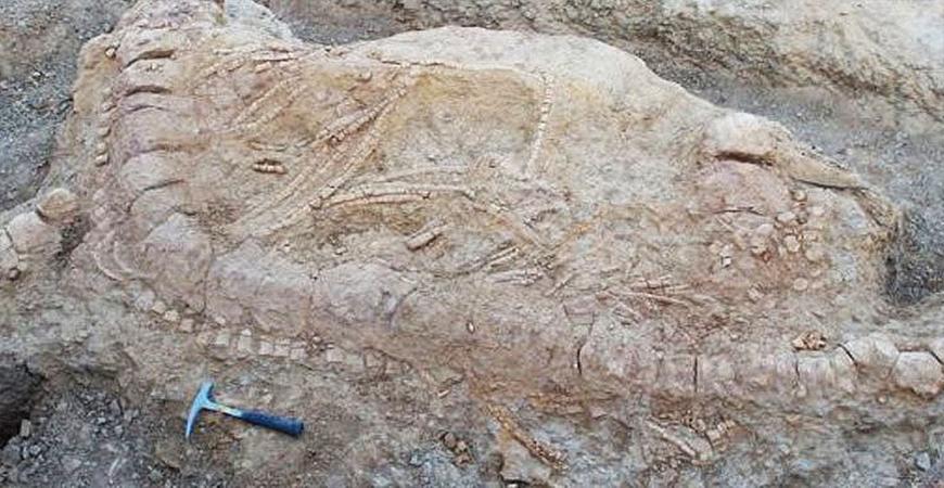 الصين تكتشف آثار أقدام لحفرية ديناصور تعود إلى 100 مليون عام
