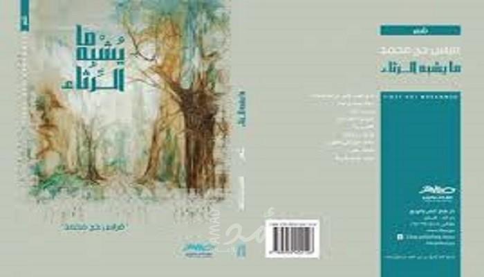 ديوان ما يشبه الرثاء في اليوم السابع